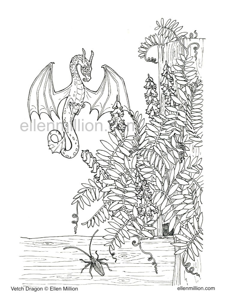 Vetch Dragon - digital coloring page product image (1)