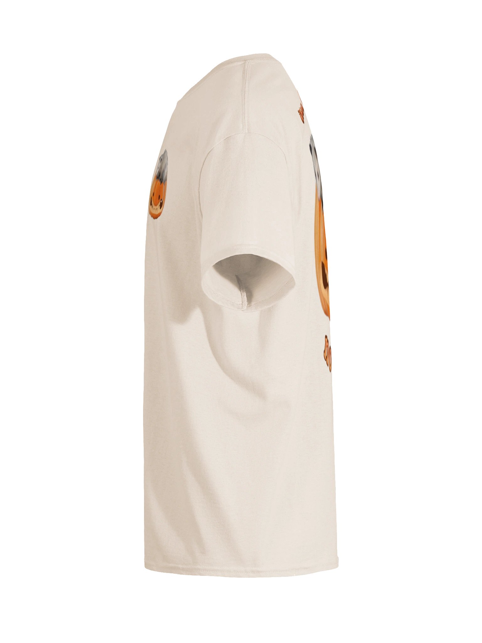 All Tricks No Treats [Double Sided]- Autumn Pumpkin Possum T-shirt product image (9)
