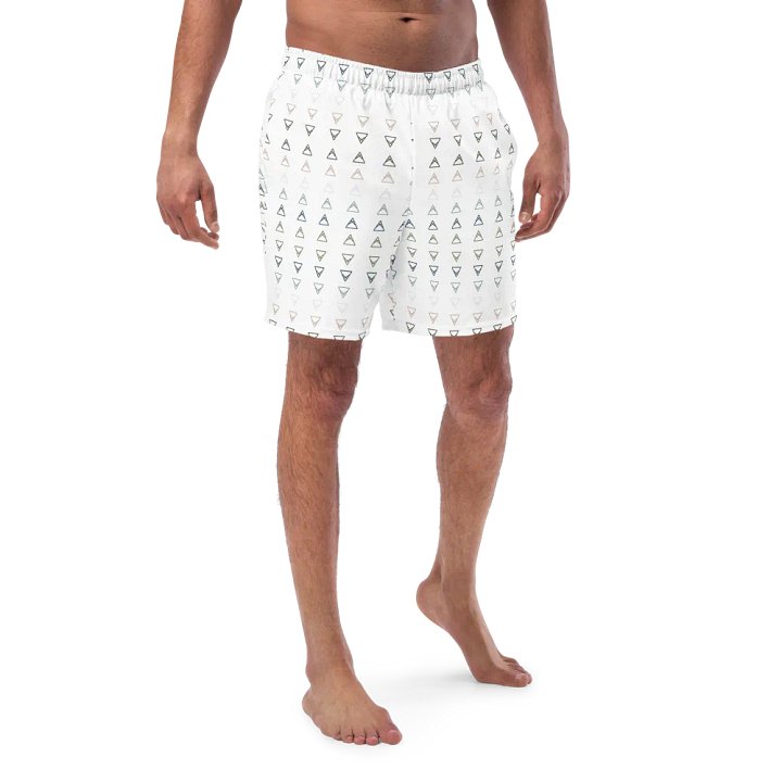 Brewista Basics | Swim Shorts product image (1)