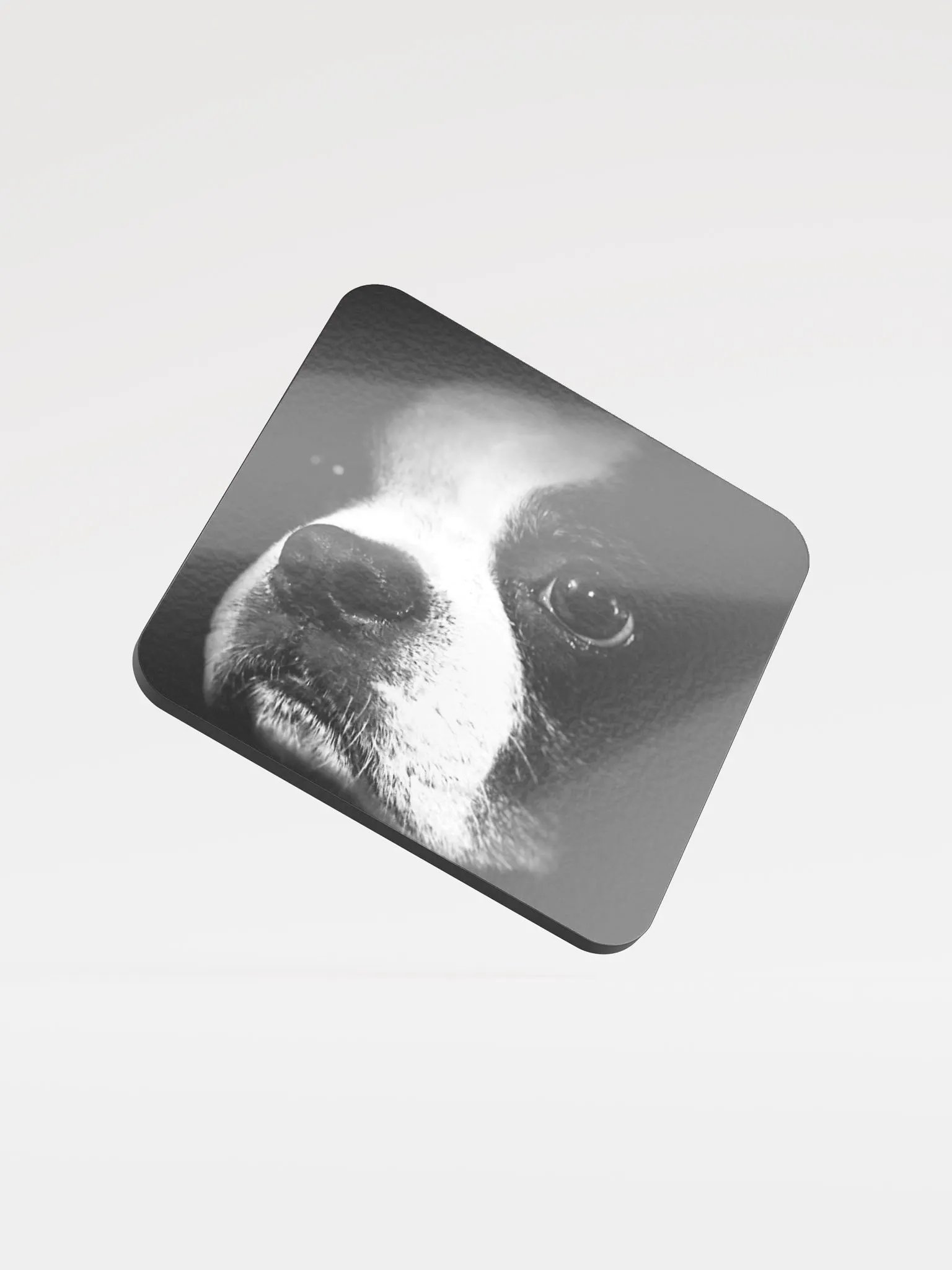 HOOGANCOASTER product image (1)