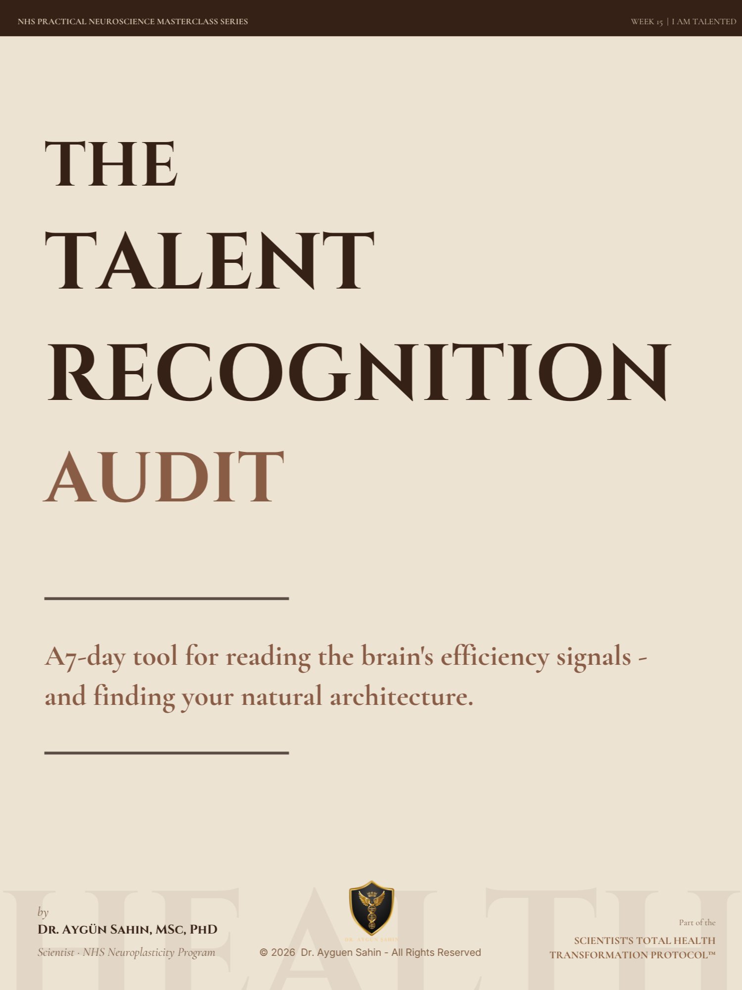 TALENT RECOGNITION AUDIT product image (2)