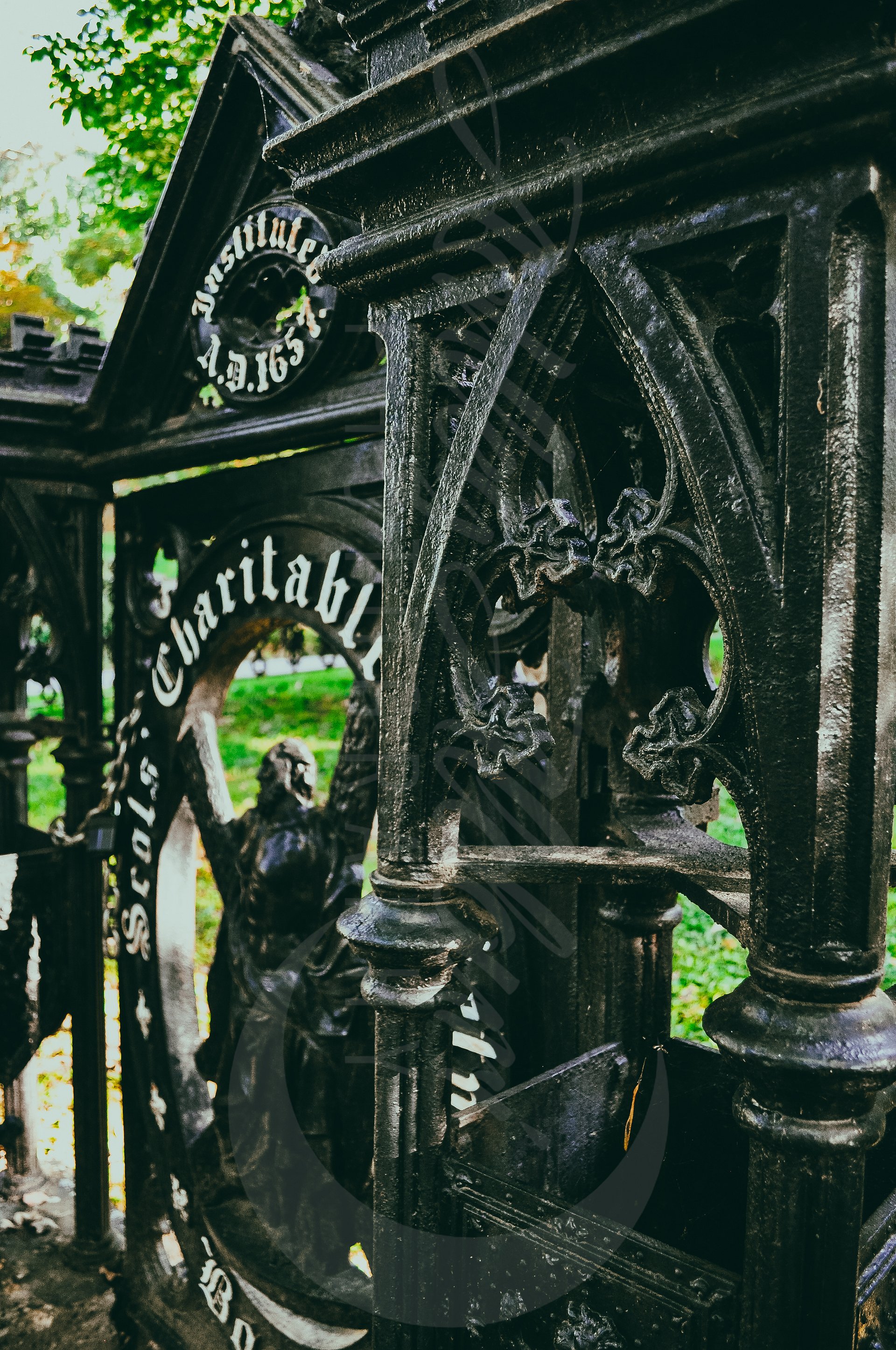 Iron Vines product image (1)