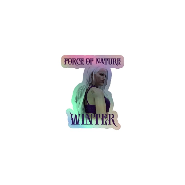 BTW Winter holographic stickers product image (1)