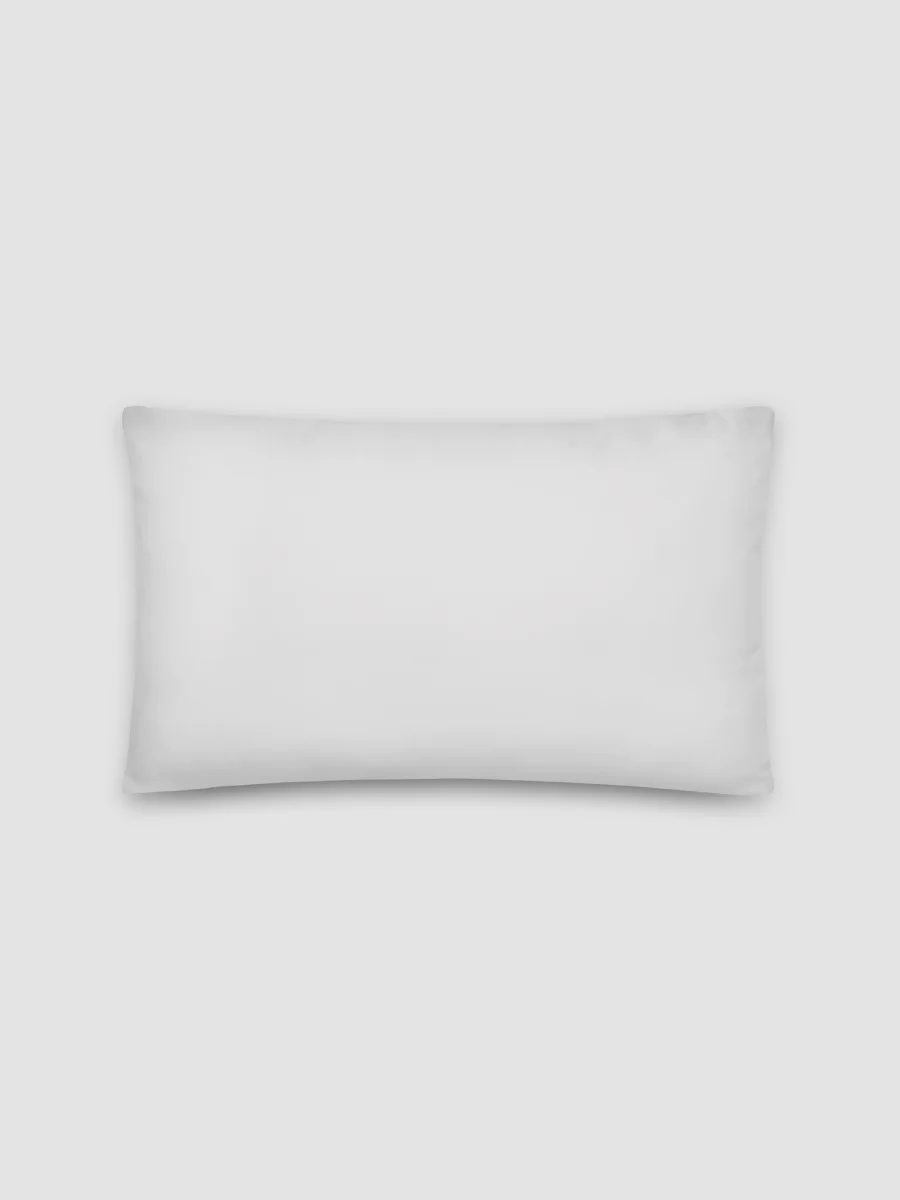The Coordinates Pillow product image (3)