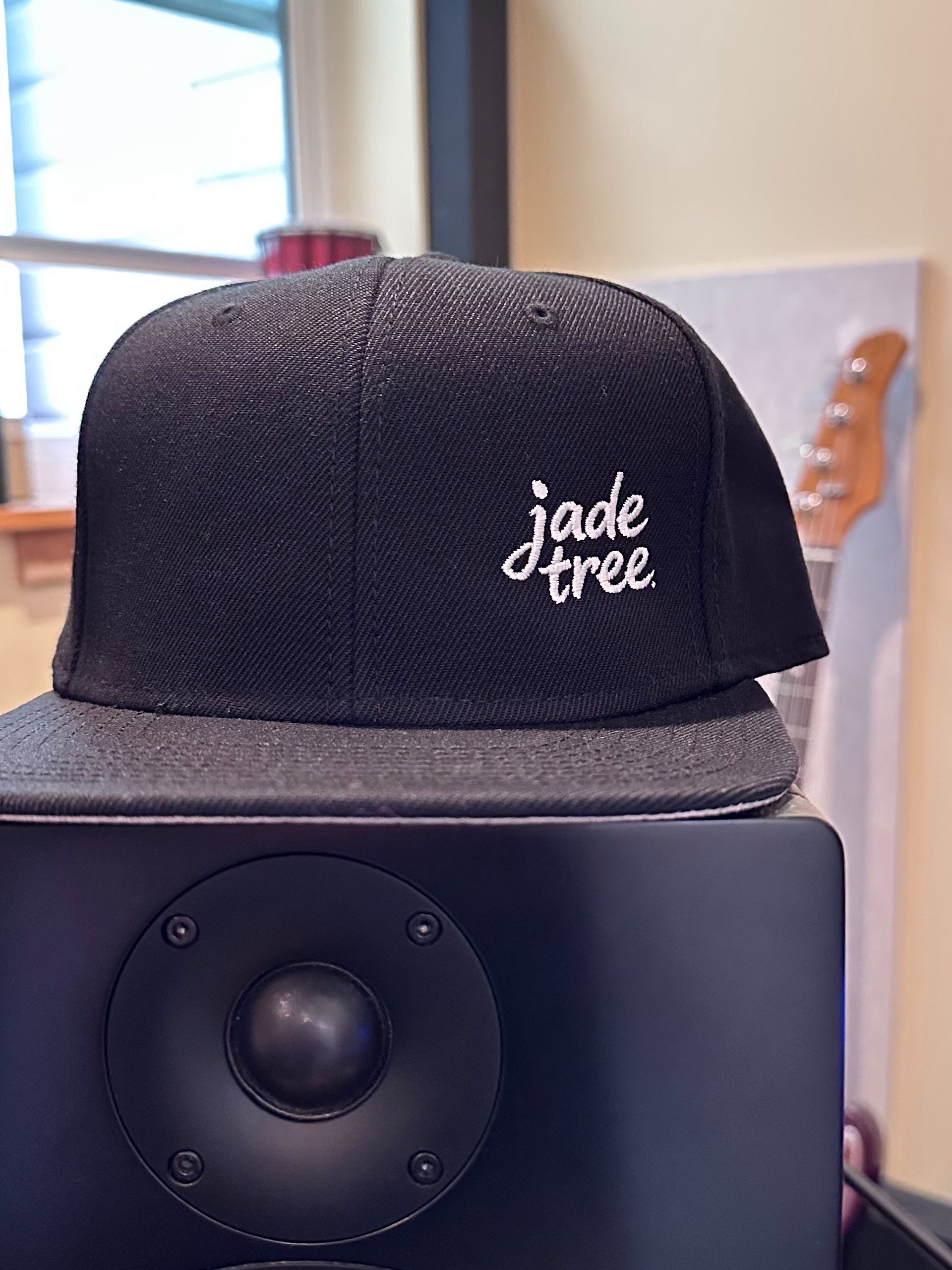 Snapback Cap product image (1)