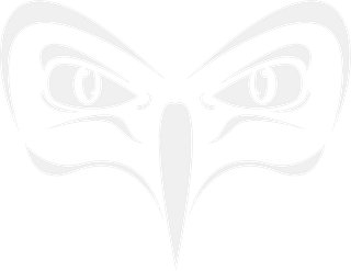 Im_The_Owl
