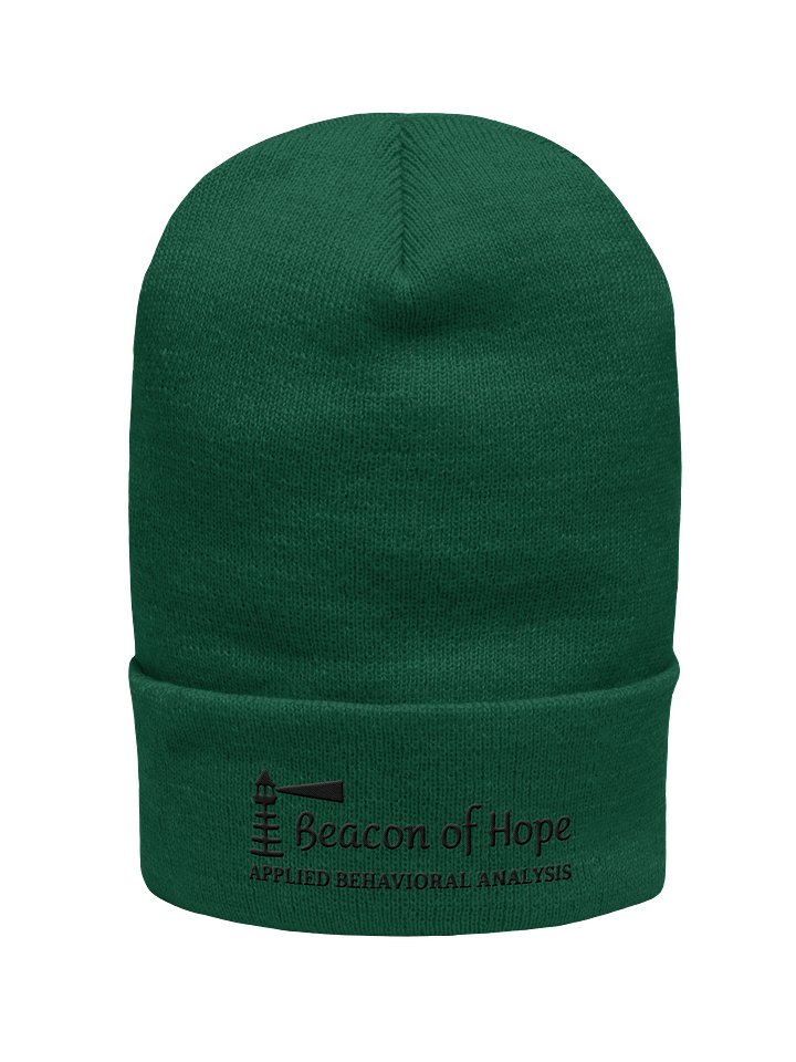 Beacon Cuffed Beanie product image (5)