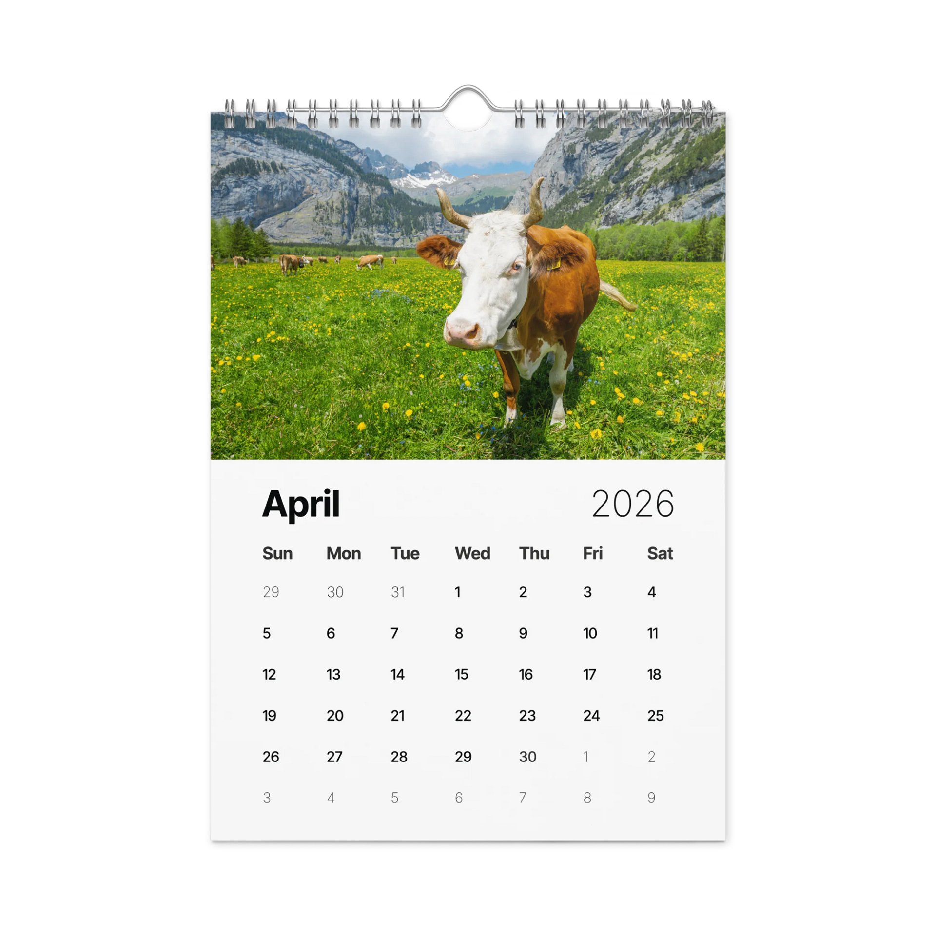 Swiss Cow Calendar 2026 product image (5)