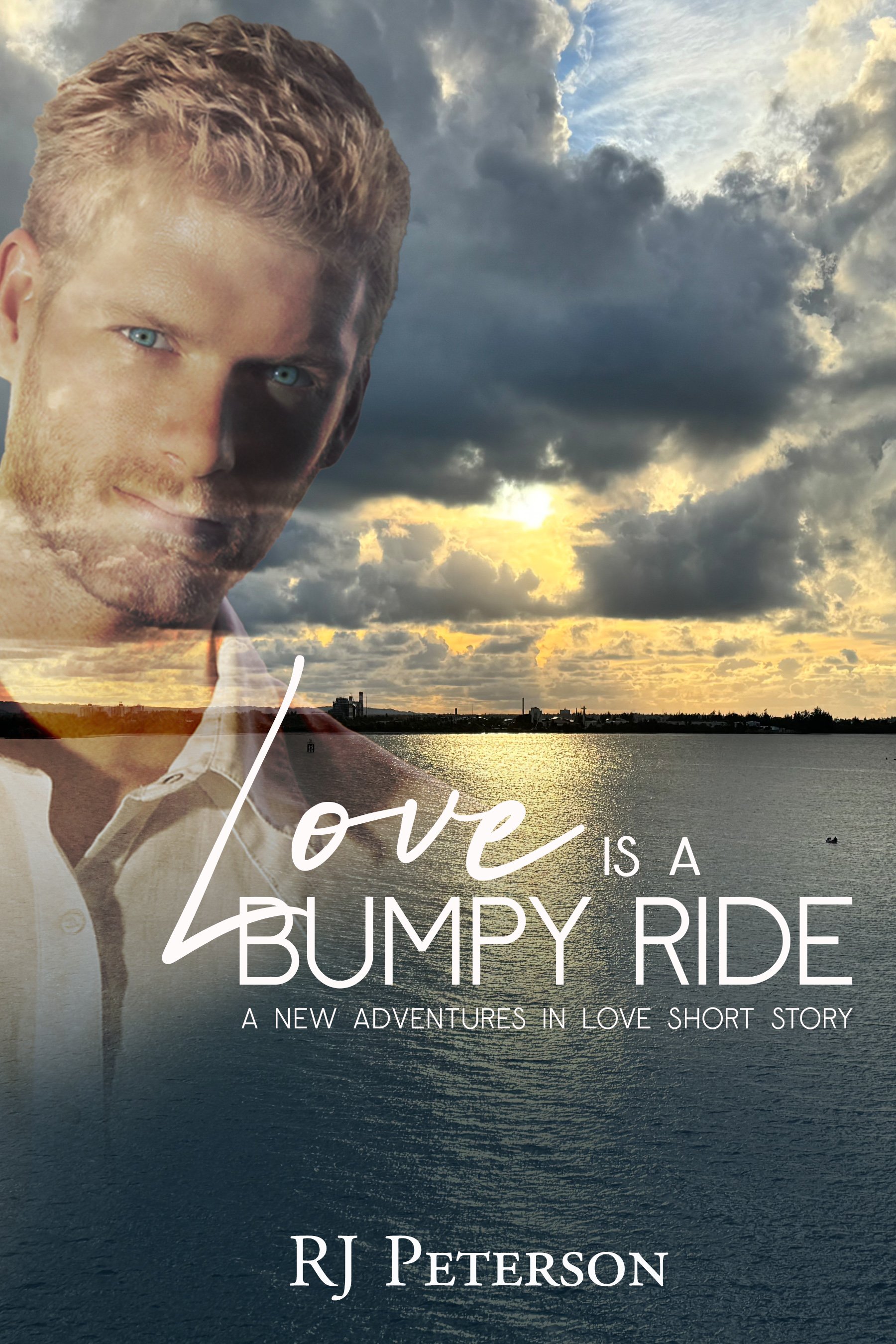 Love is a Bumpy Ride product image (1)