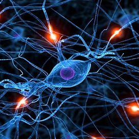 Neural Network tier thumbnail