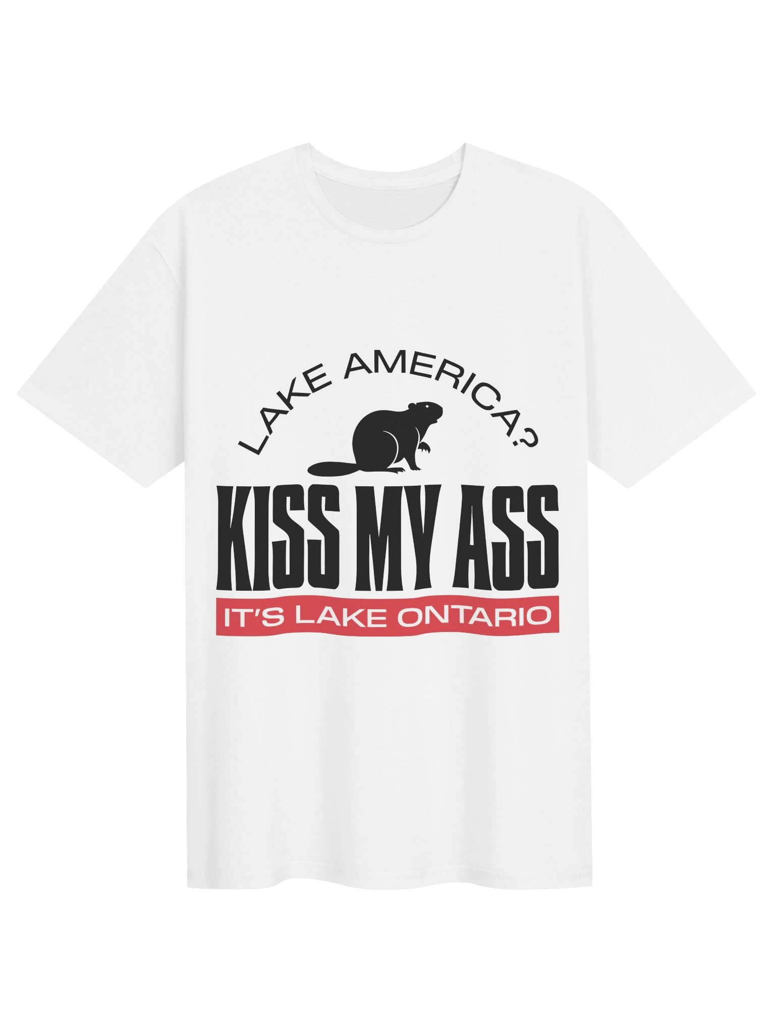 Kiss My Ass - It's Lake Ontario Tee product image (71)