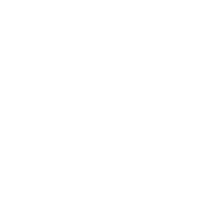 Disclosure Team