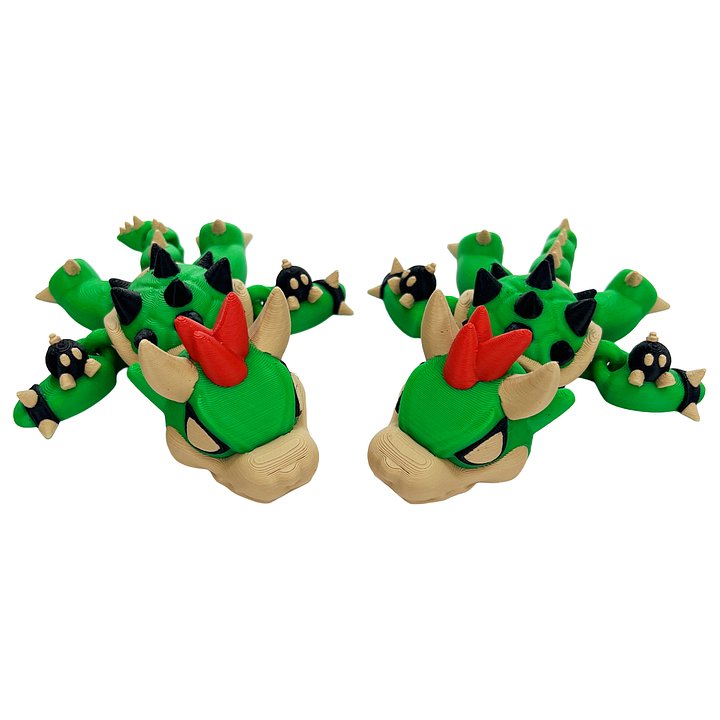 Snapping Turtle product image (2)