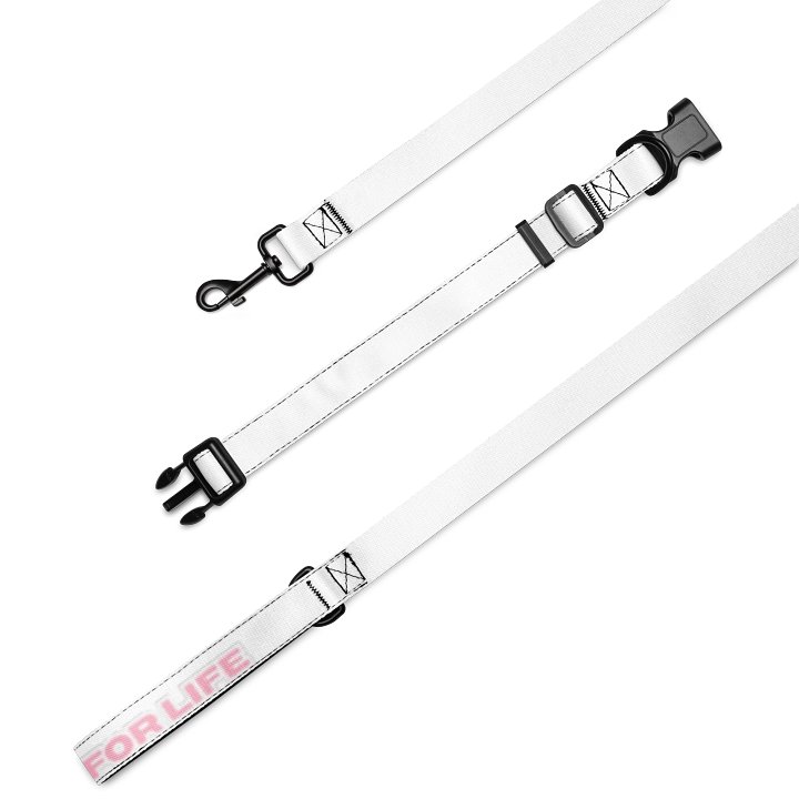 Ari's Collar & Leash product image (2)