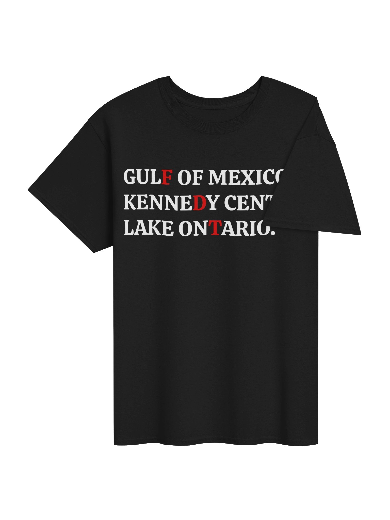 FDT Lake Ontario Kennedy Center Shirt product image (44)