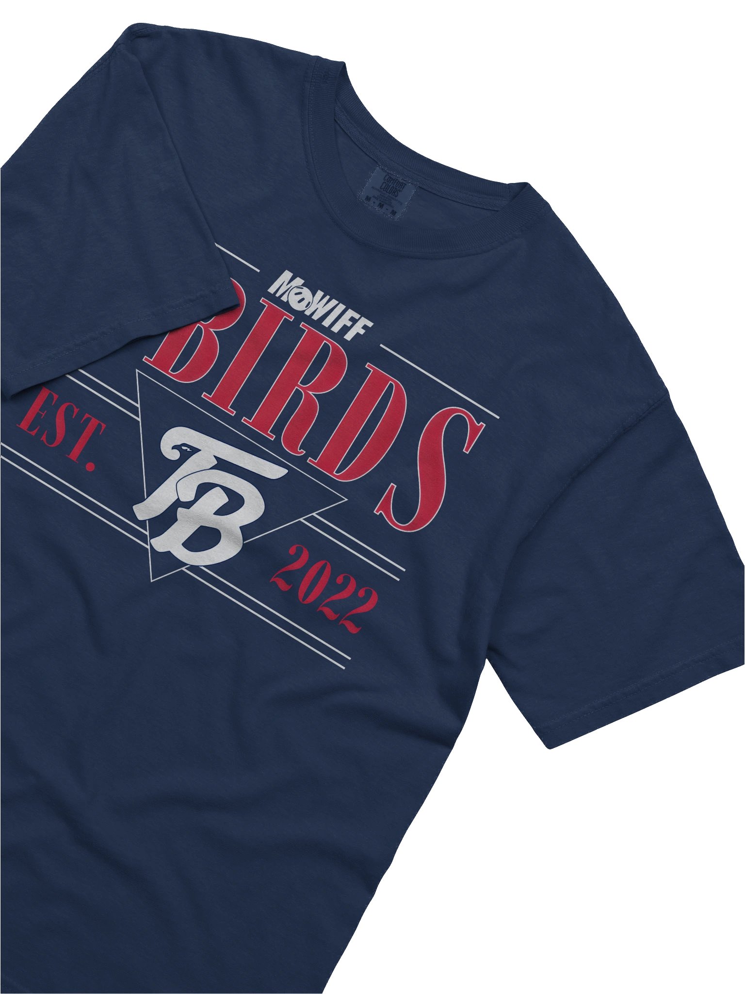 T-Birds Graphic Tee product image (30)