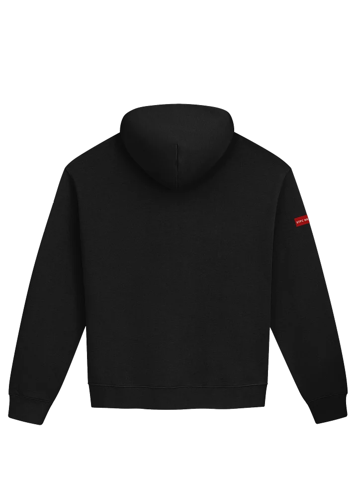 STFC Briefings VOTP Designer Collection Oversized Hoodie product image (5)