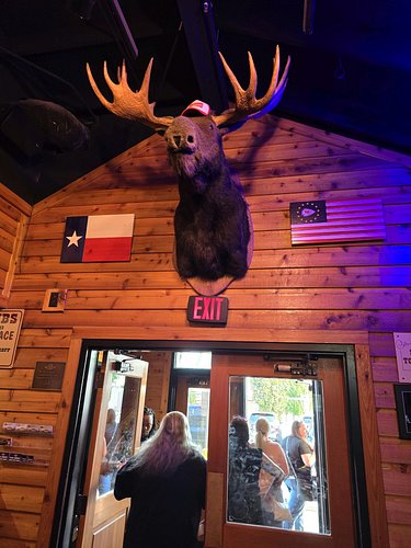 The Fraternal Order Of The Sacred Moose 🫎 🔻