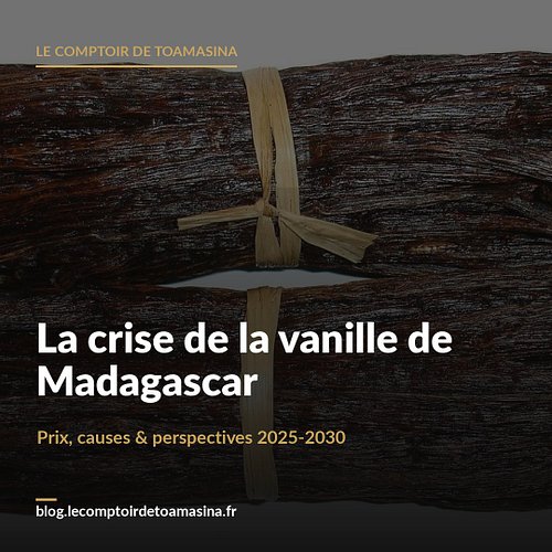 🌿 En 2019, la vanille de Madagascar valait plus cher que l'argent. Aujourd'hui, les cours s'effondrent… et pourtant le prix e...