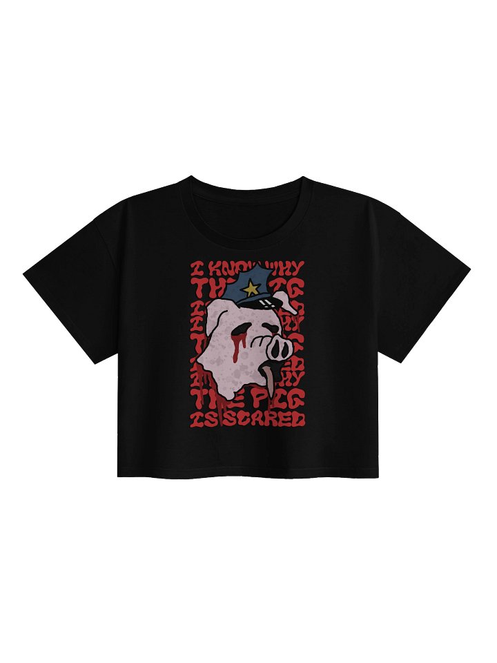 Why Pigs Need Mud Crop Top product image (1)