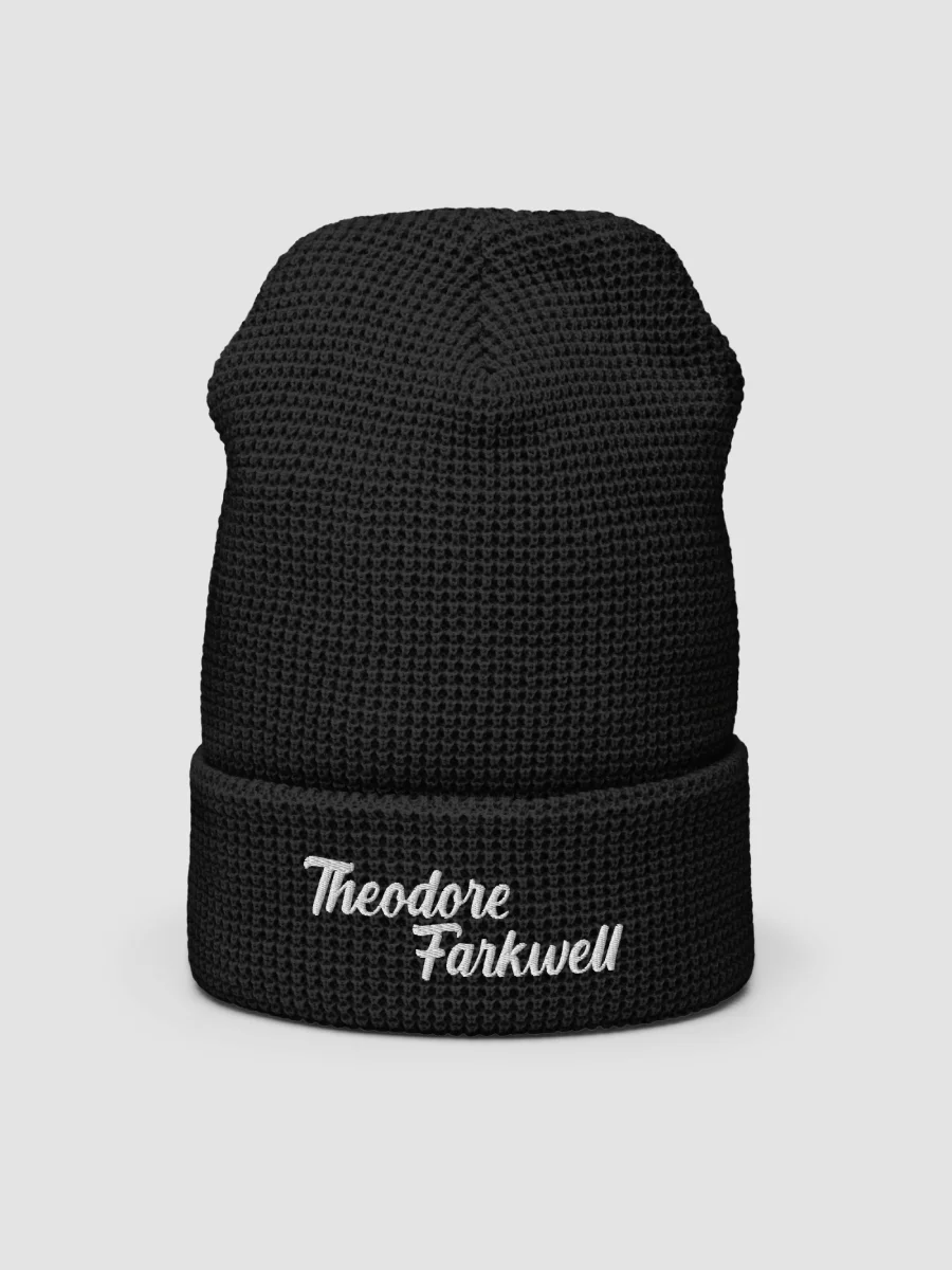THEODORE FARKWELL BEANIE product image (2)