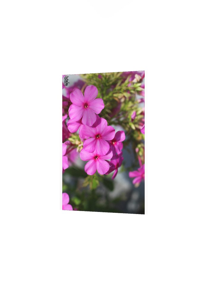 Little Pink Flowers product image (6)