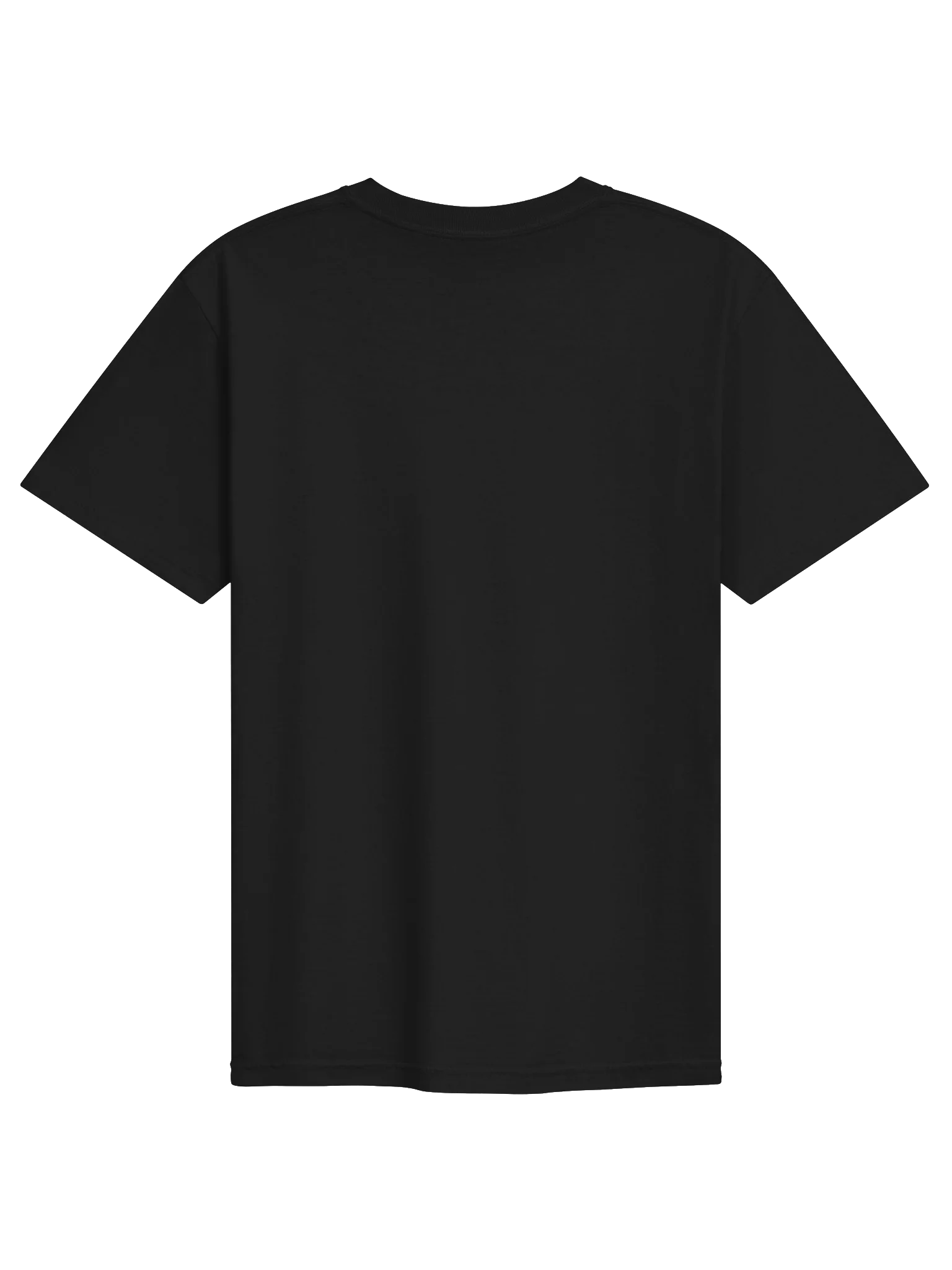 Not Today Sleepy Dog Embroidered Tee product image (2)