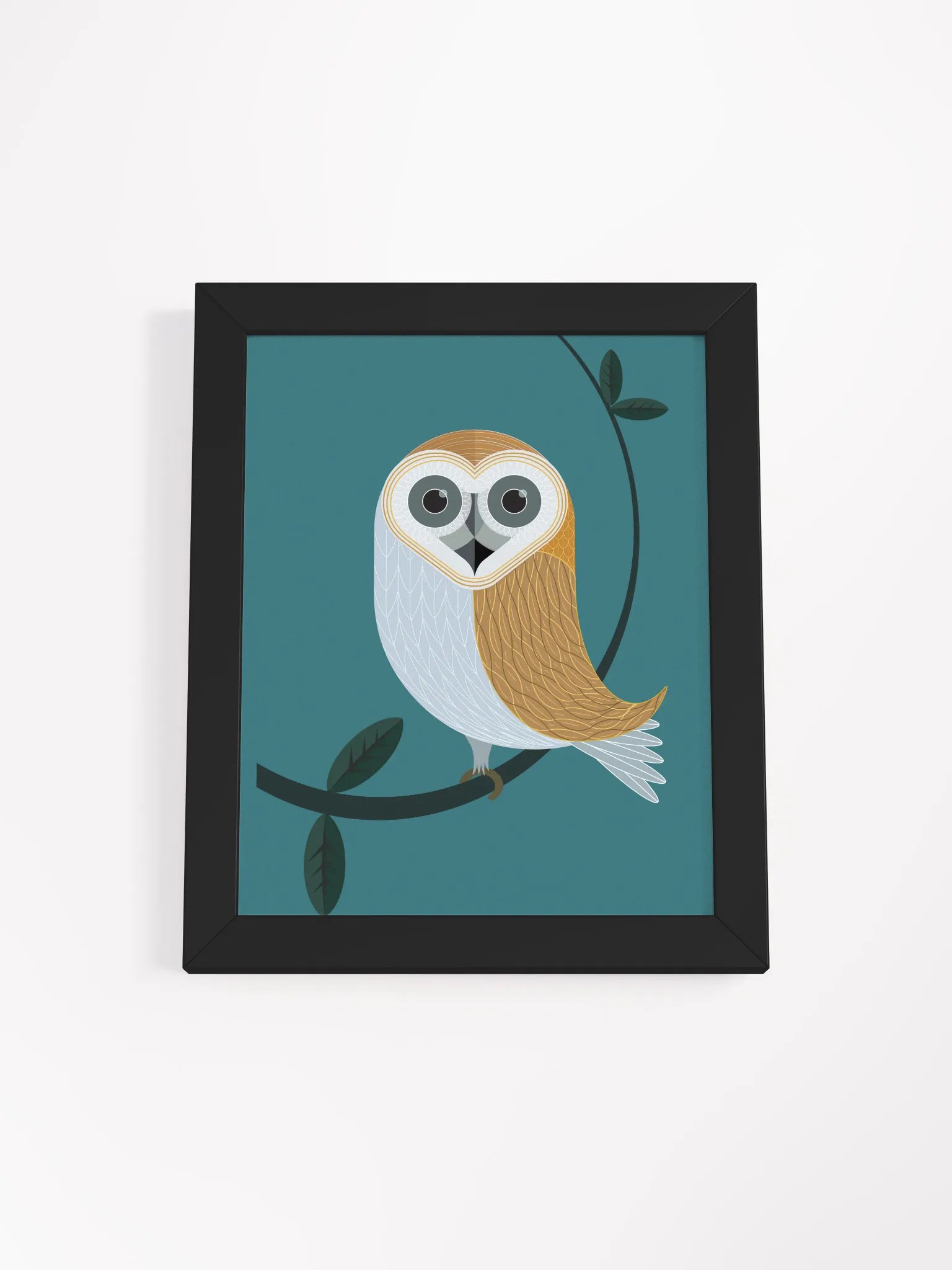 Barn owl product image (10)