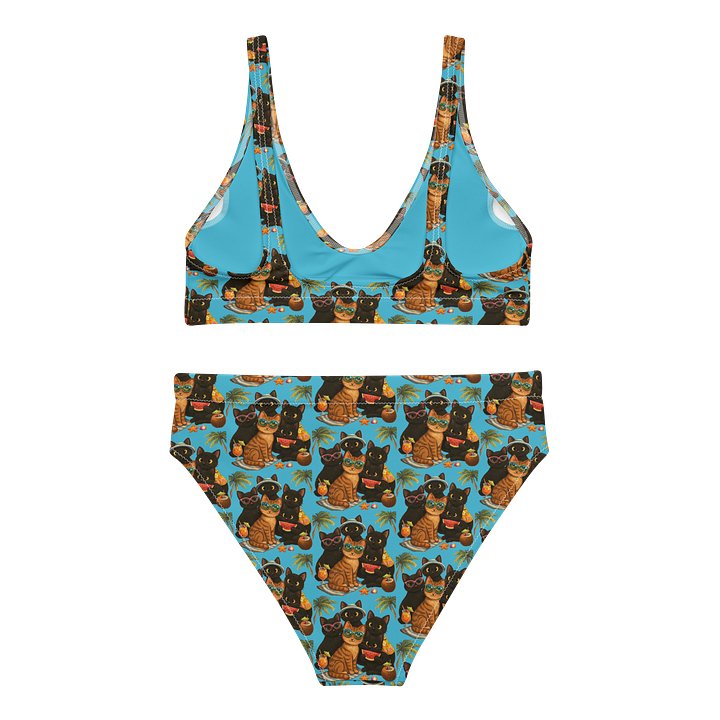 Cat Beauty High-Waisted Bikini Set product image (2)