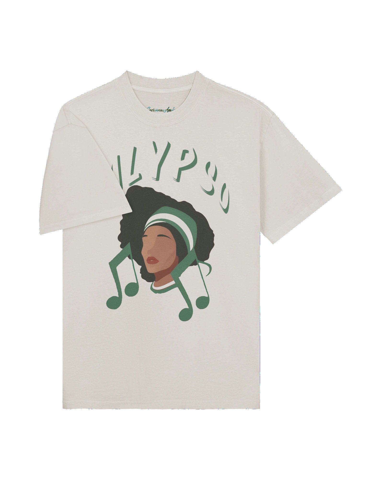 Calypso - Caribbean Apples | Premium Heavyweight Oversized Faded T-Shirt | 5 Colors product image (37)