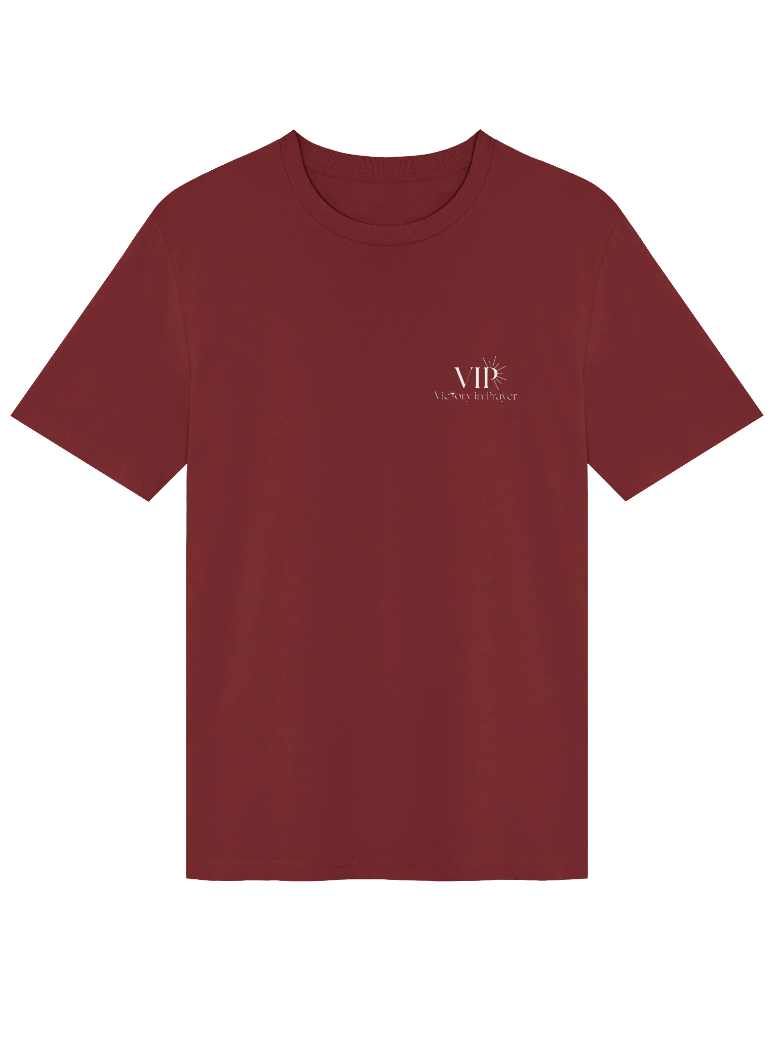 VIP Philippians 4:13 Organic Unisex T-Shirt product image (33)