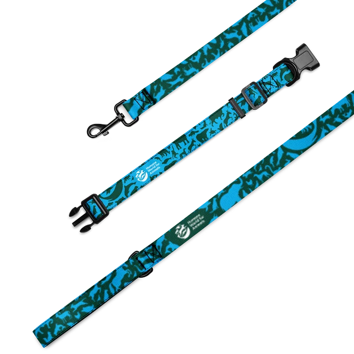 Animal Print - Pet leash and collar set product image (2)