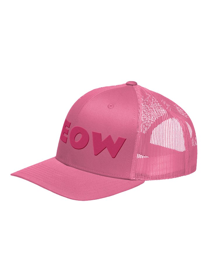Embroidered MEOW Hat - Pink Thread Collection product image (10)