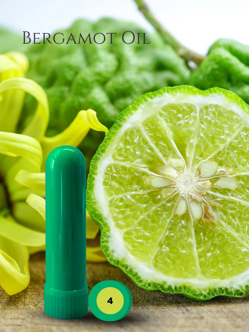 Olfaria Exotic Odor Training Kit | 5 Single-Note Essential Oils | Scent Education | Train Your Nose product image (5)