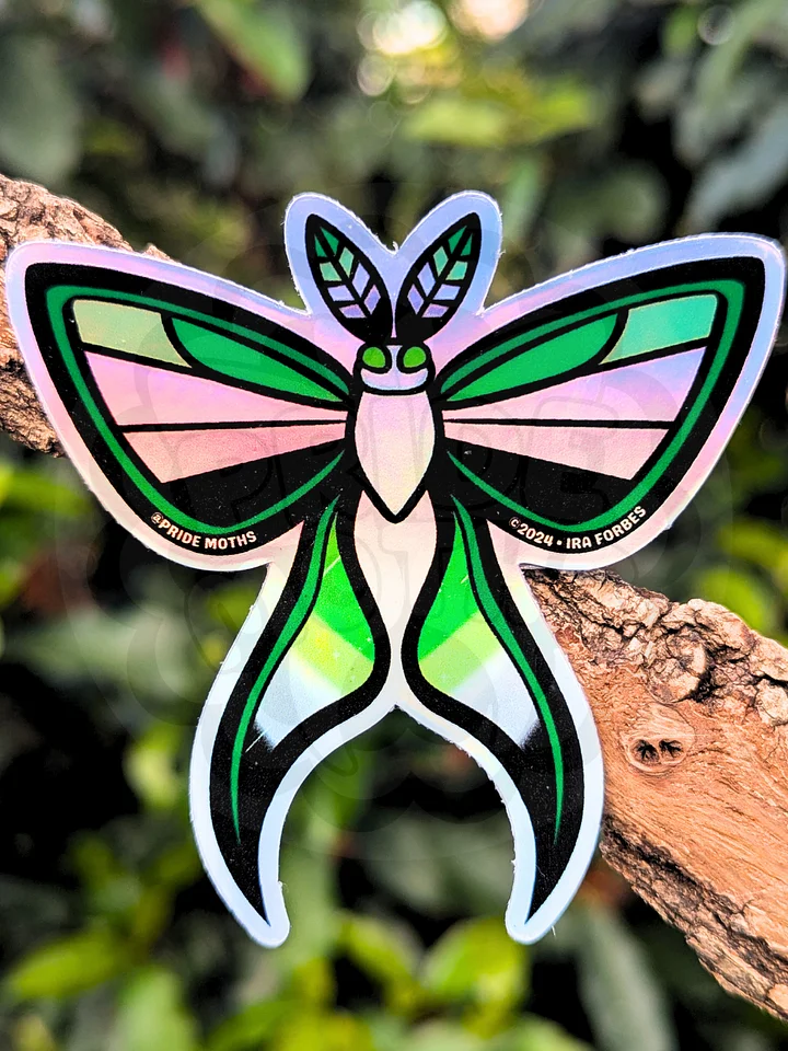 № 6 | AROMANTIC PRIDE MOTH | HOLOGRAPHIC STICKER product image (1)