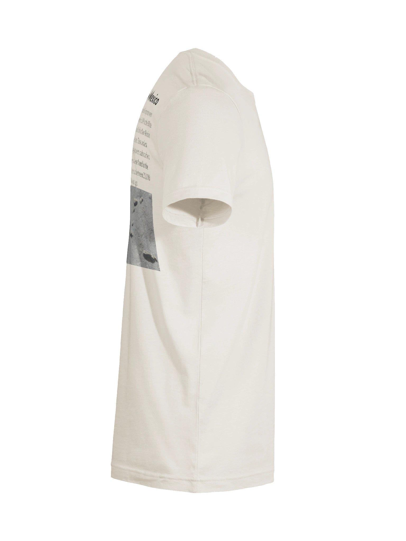 Light White Sands Footprints T-Shirt product image (12)