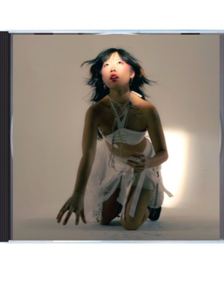 Father Koi "everything is a dream, but it is your dream" CD product image (1)