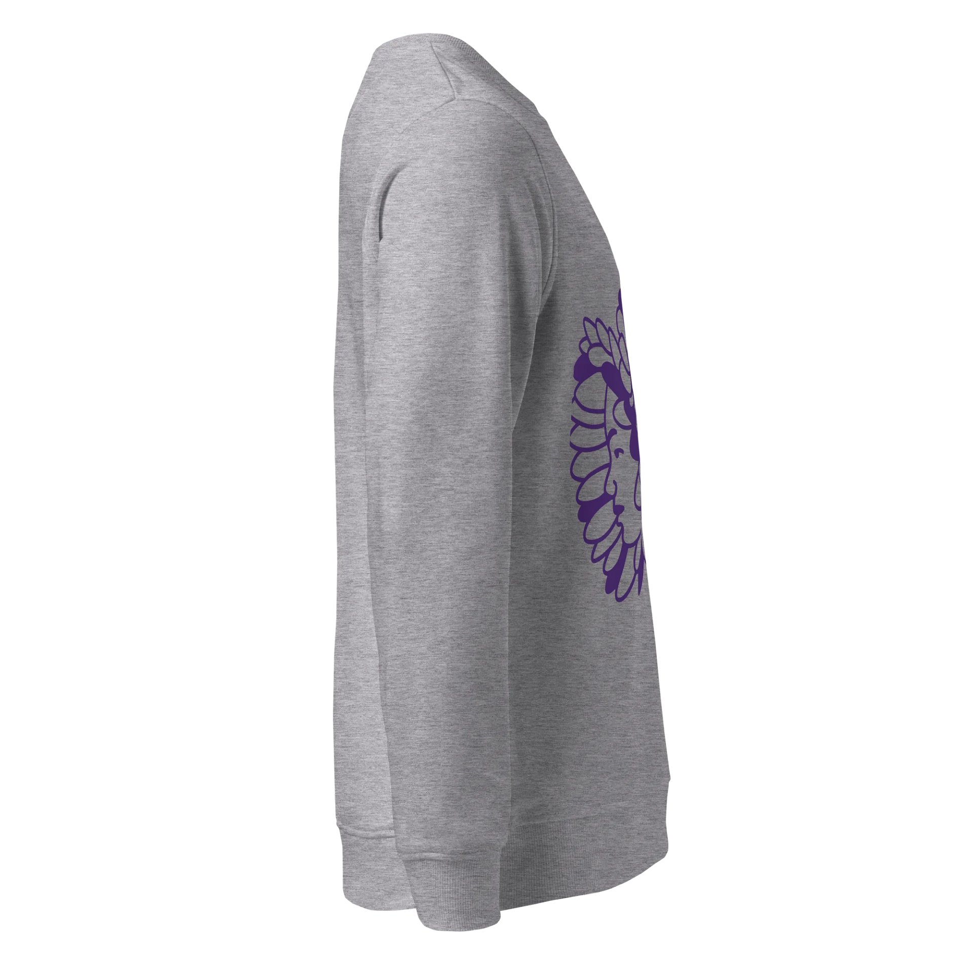 Native Sweatshirt product image (4)