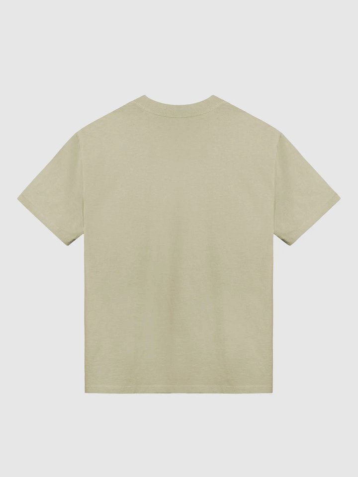 Columbia Road Market Vintage Vibes Oversized Tee (Faded Eucalyptus) product image (2)