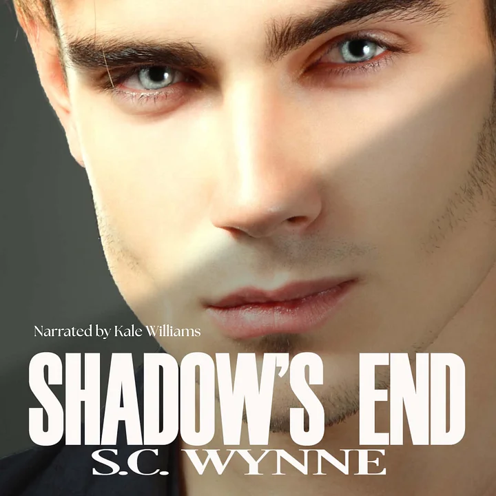 Shadow’s End Audiobook (Book Four Psychic Detective Series) product image (1)