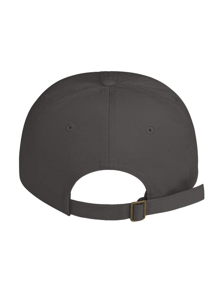 Lab dad cap product image (6)