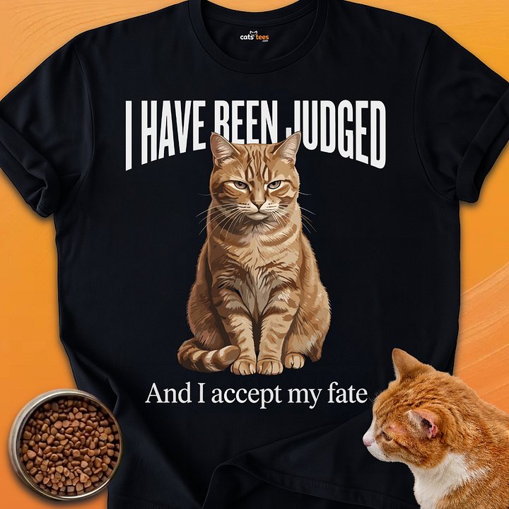 I Have Been Judged product image (1)