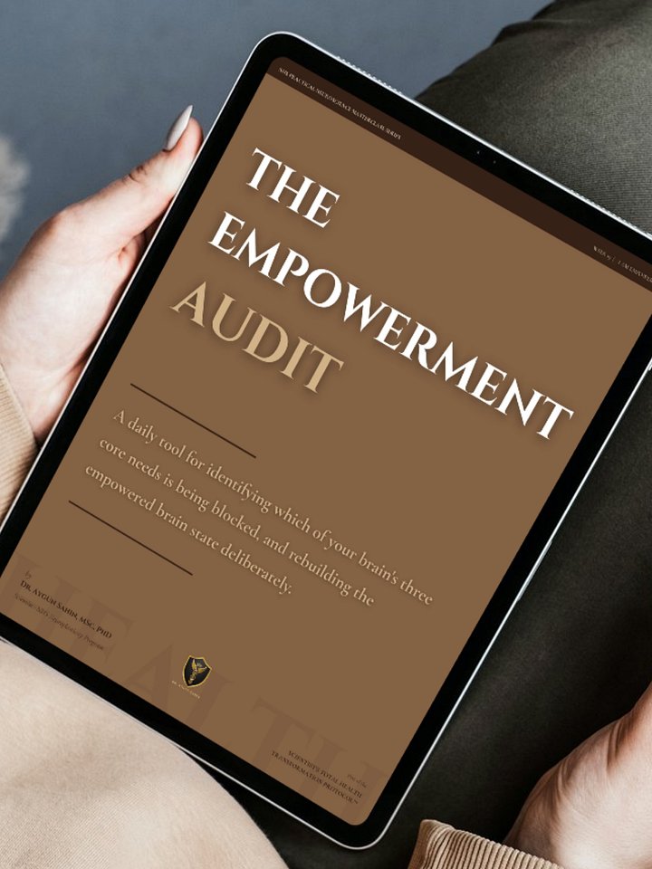 THE EMPOWERMENT AUDIT product image (1)