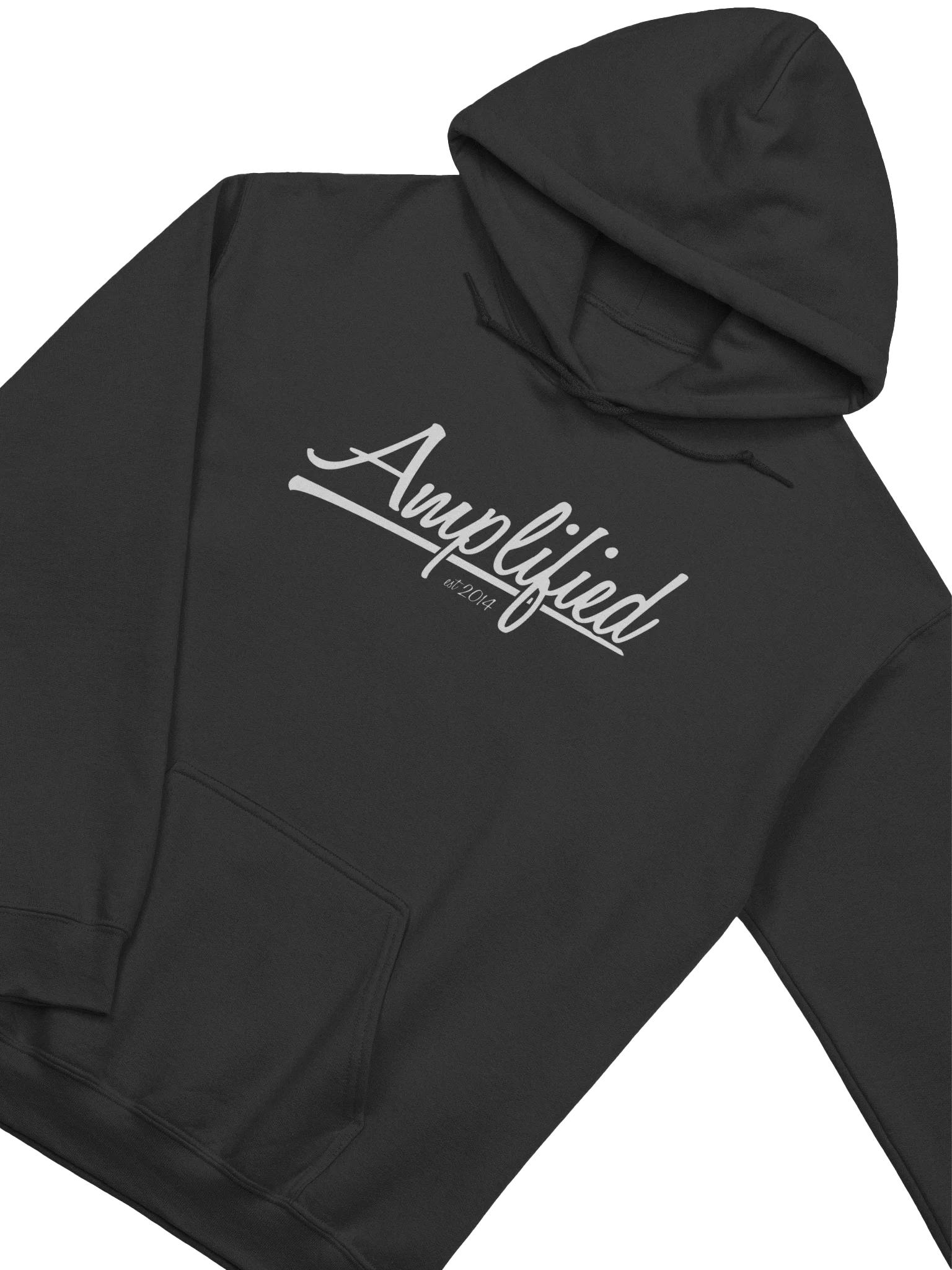 Amp Signature Hoodie product image (2)