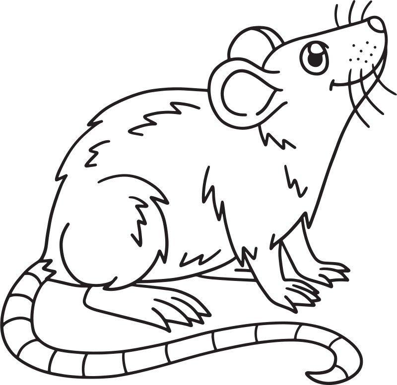 Animal Coloring Pages product image (2)