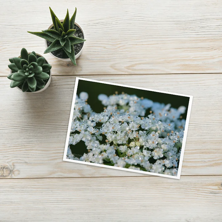 Dew Lace Greeting Card product image (1)
