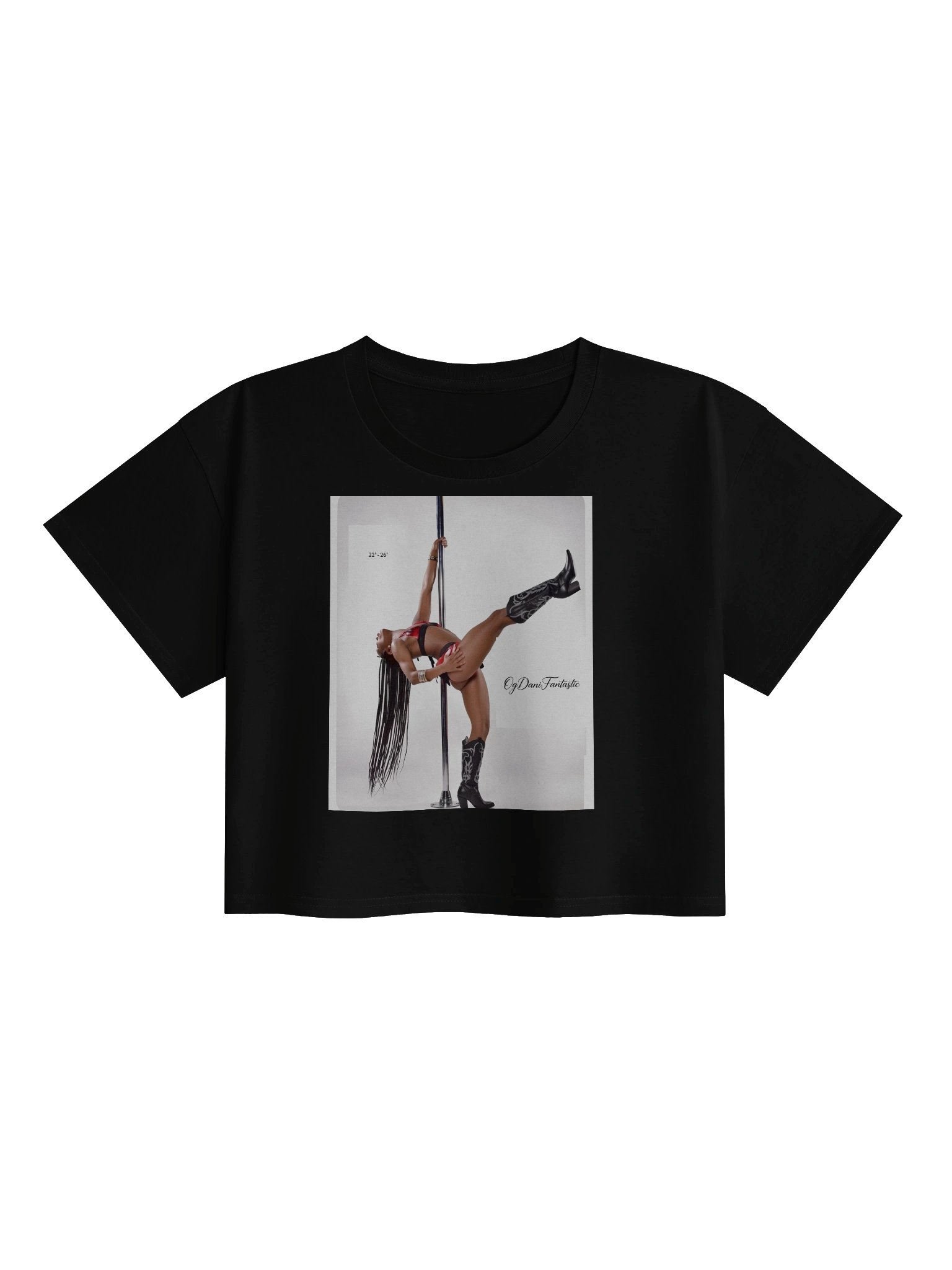 Dani Crop Tee product image (6)