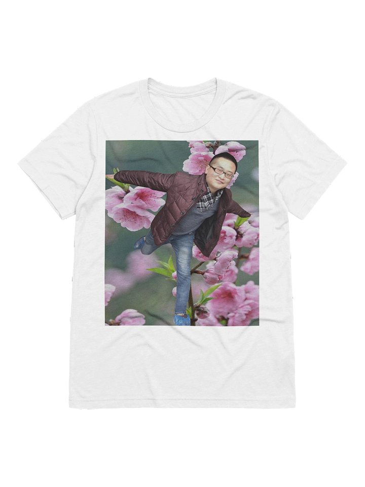 Bella+Canvas Triblend Short Sleeve T-Shirt：fly product image (1)