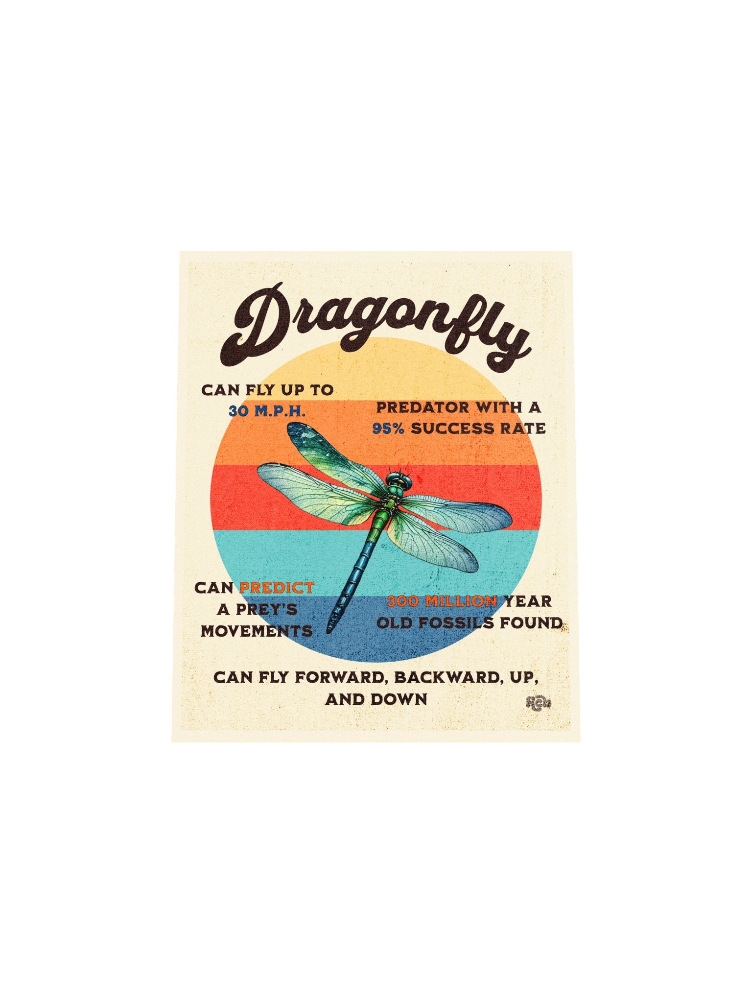 Dragonfly Retro Sun Poster product image (8)