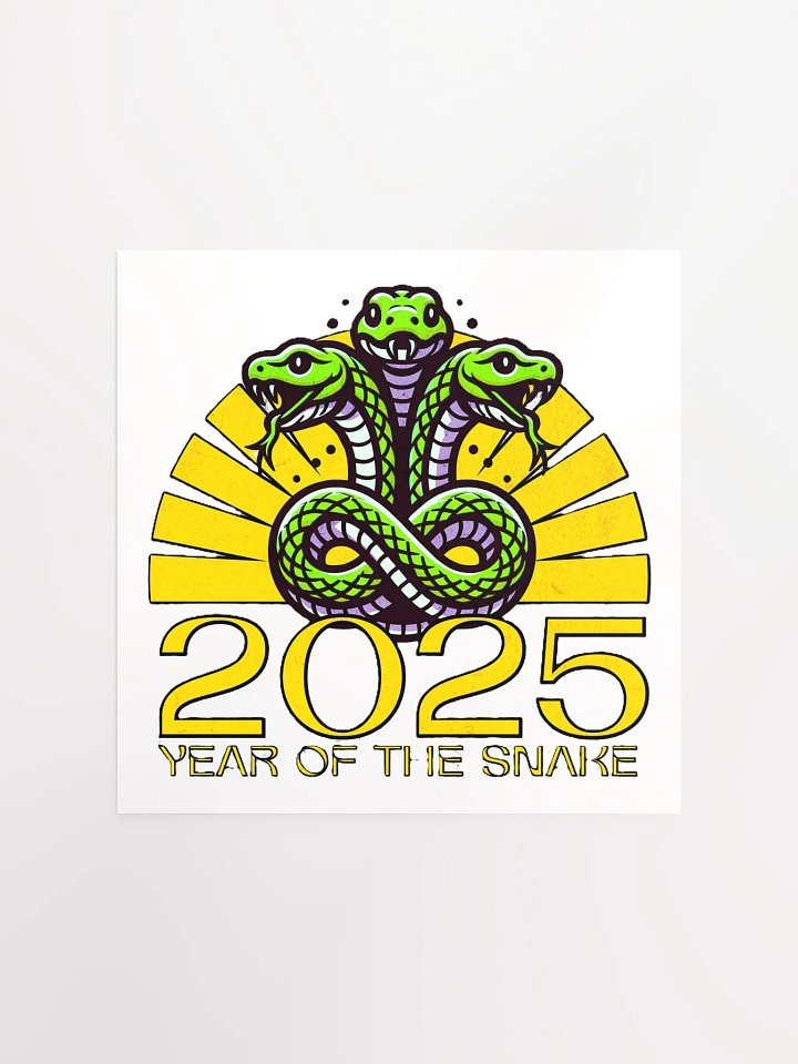 2025 YEAR OF THE SNAKE product image (2)